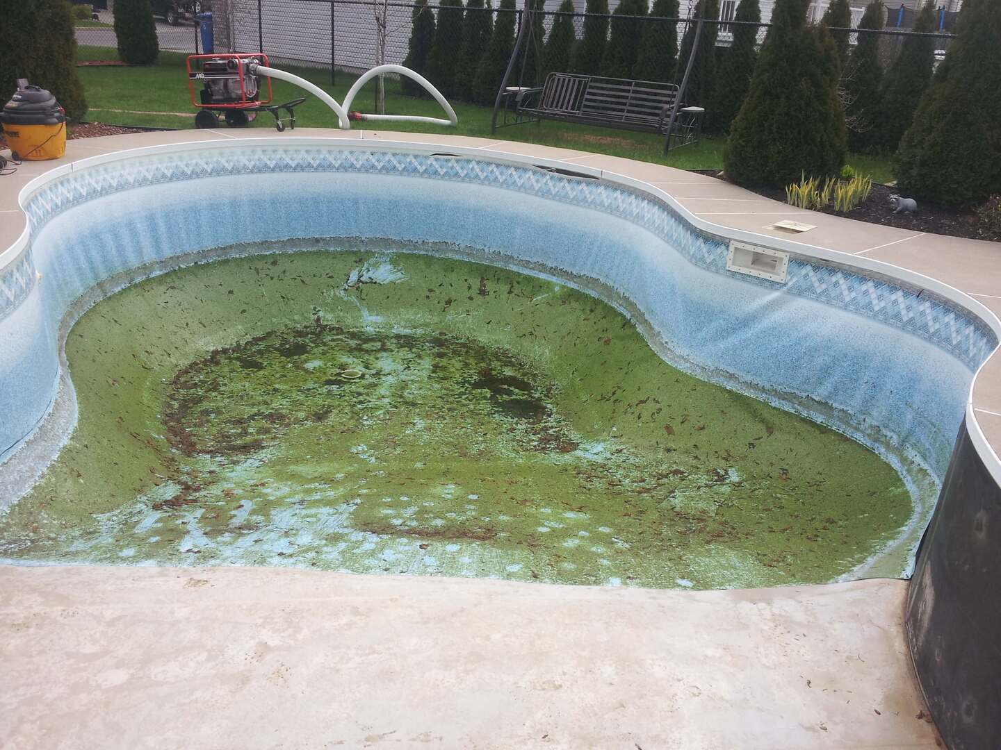 Piscine verte